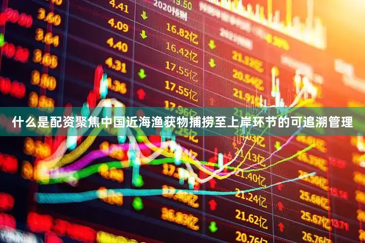 什么是配资聚焦中国近海渔获物捕捞至上岸环节的可追溯管理